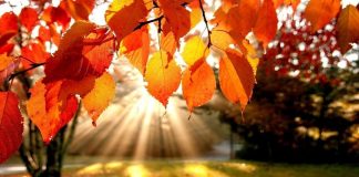 Les Énergies d’Ascension de Novembre – L’espace intérieur