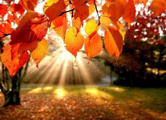 Les Énergies d’Ascension de Novembre – L’espace intérieur