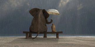 Le Créateur – Donner Un Peu…..