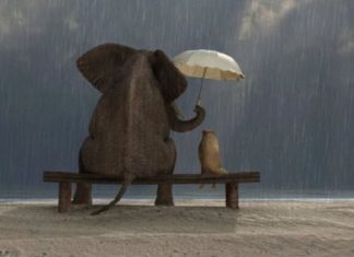 Le Créateur – Donner Un Peu…..