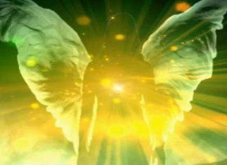 Anges de Lumière – Ouverture du Portail 1111