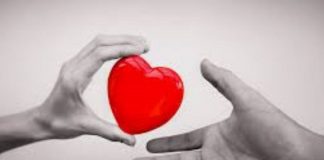 Le Créateur – Écouter pour Comprendre