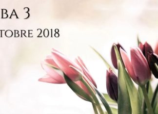 Entretiens d’octobre 2018 – ABBA 3