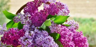 Concentrez-vous sur la Vérité