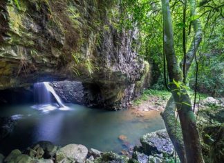 Régénérer les sols fertiles