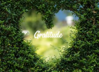 Gratitude quotidienne