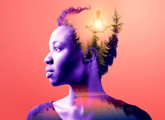 Le Conseil – En réponse à quelques questions #17