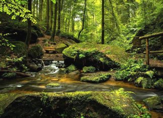 Le Coeur de Lumière et la guérison