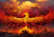 LA CONNEXION AUX FORCES ÉLÉMENTAIRES