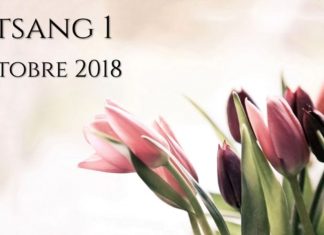 Entretiens d’octobre 2018 – SATSANG 1