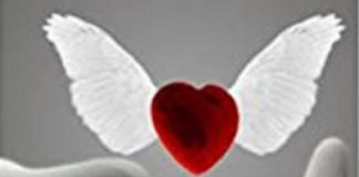 Focus sur l’Illumination, l’Amour et le Rire