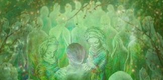 Comment faire face à l’implosion de la Matrice ?