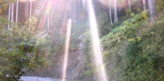 Vous Êtes Connecté Avec Tout Et Tout Le Monde