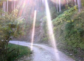 Vous Êtes Connecté Avec Tout Et Tout Le Monde