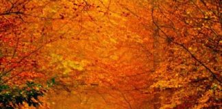 La résidence des Maîtres