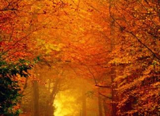 La résidence des Maîtres