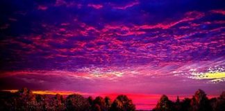 Le Créateur – Réveiller les « Dormeurs »