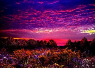 Le Créateur – Réveiller les « Dormeurs »