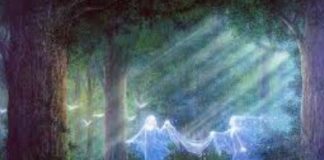 Nous Vous Invitons maintenant à l’un de nos Rassemblements Sacrés