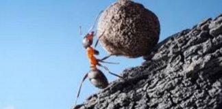 Le Créateur – Diligence