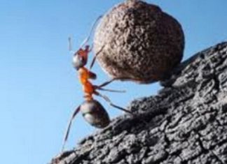 Le Créateur – Diligence