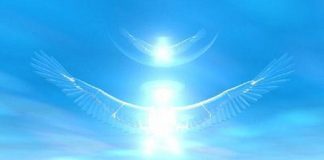 N’abandonnez jamais personne !