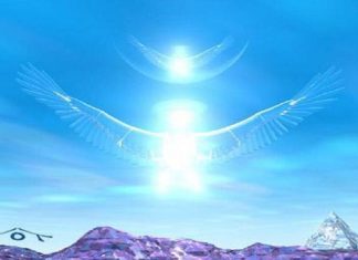 N’abandonnez jamais personne !