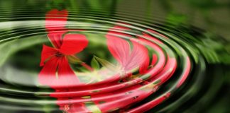 Ne vous laissez pas berner par l’illusion du voile