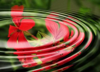 Ne vous laissez pas berner par l’illusion du voile