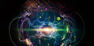 L’humain et le genre ont été retirés de l’humanité