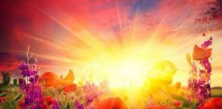 Aie confiance en tout ce qui est