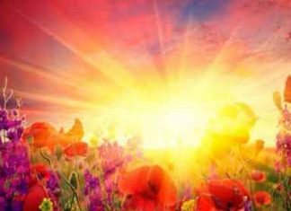 » Votre fonctionnement journalier » !