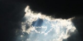 Le Créateur – Mettre la Croissance à l’Oeuvre