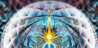 Activation Ancienne d’Évolution