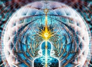 Activation Ancienne d’Évolution