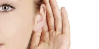 Le Créateur – Le Temps d’Écouter