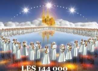 Portails puissants et convergence harmonique ~ La maîtrise est sur nous !