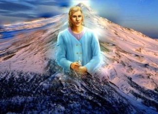 Adama – Le Portail de l’étoile intérieure