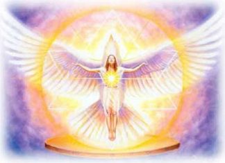 Vous vous êtes préparés à travers les Expériences de nombreuses Vies pour ces temps d’Ascension