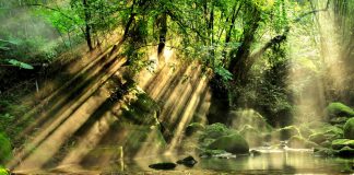 La douce puissance de votre Coeur de Lumière