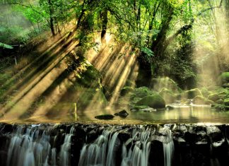 La douce puissance de votre Coeur de Lumière