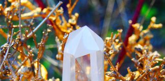 Conscience Christique vibrante