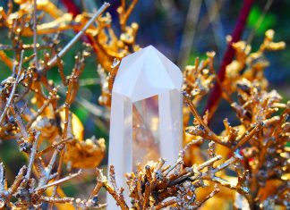 Conscience Christique vibrante