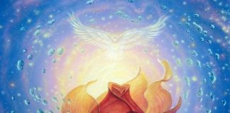 Kristos : Il va être important que Chacun comprenne que tout ne sera plus jamais comme auparavant