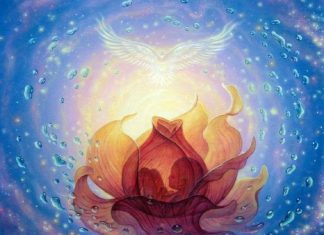 Kristos : Il va être important que Chacun comprenne que tout ne sera plus jamais comme auparavant