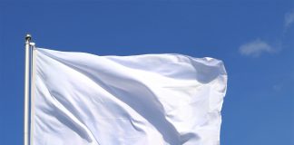 Être Multidimensionnel arborant le drapeau de la Paix Universelle