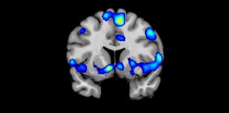 Le Créateur – Déclencheurs