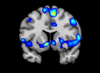 Le Créateur – Déclencheurs