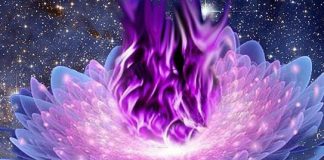 Invocations pour le Mois Mystique de Mai