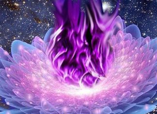 Comment utiliser la Flamme Violette en 9 étapes